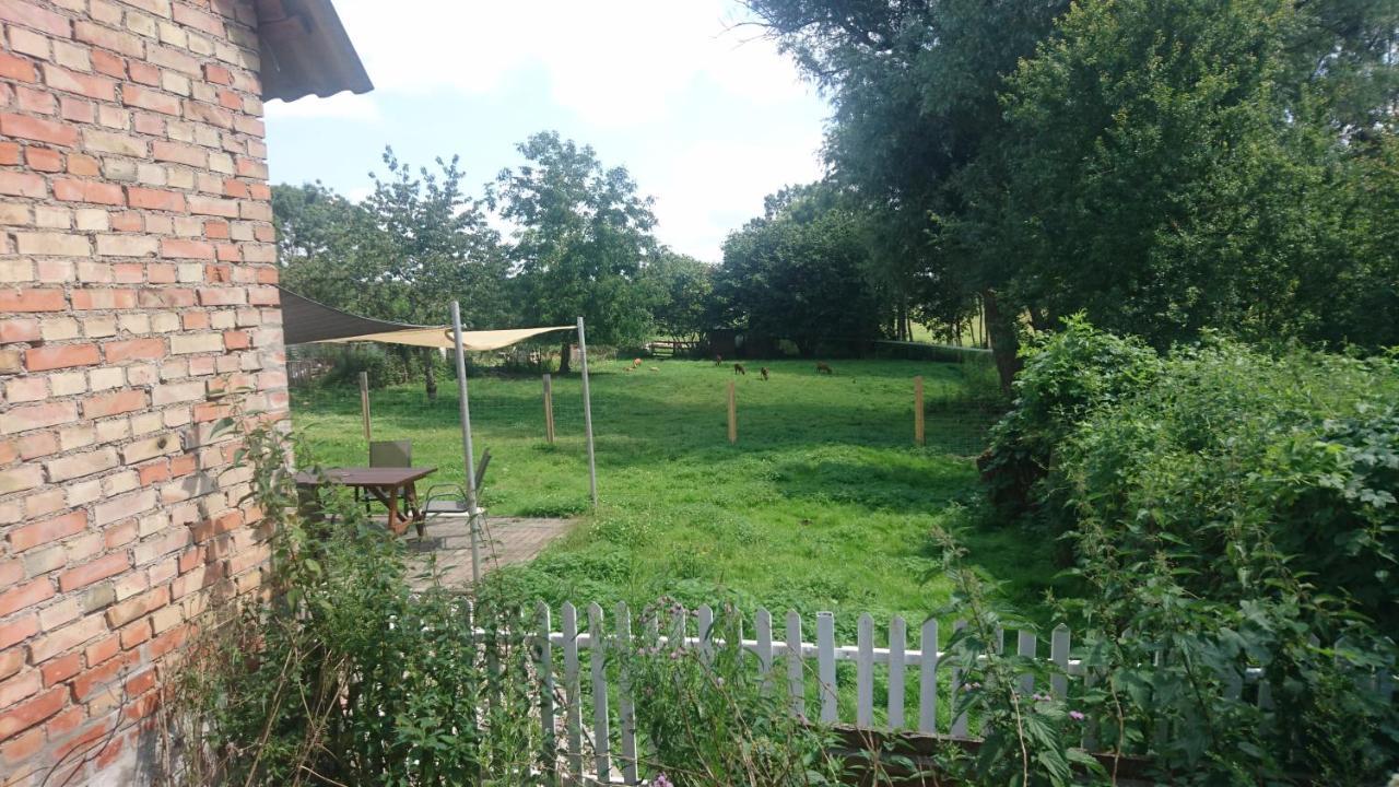 Kummerower See Dargun Extérieur photo
